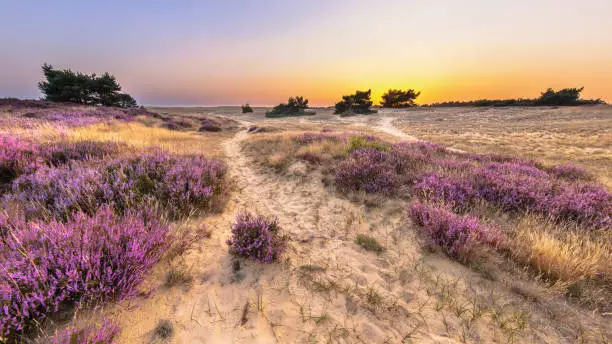 Natuurgebieden in de buurt vanAmsterdam