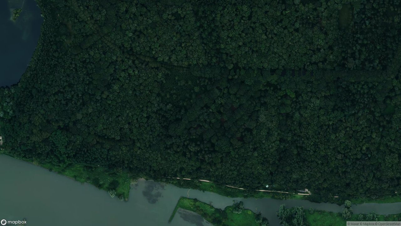 Satellietfoto 3911AB Rhenen